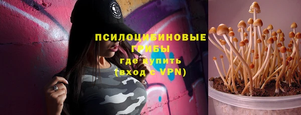 спайс Осинники