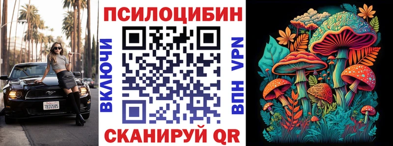Псилоцибиновые грибы Psilocybine cubensis  Багратионовск 